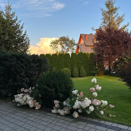 Czarna Jagoda Czarna Gora Luaran gambar