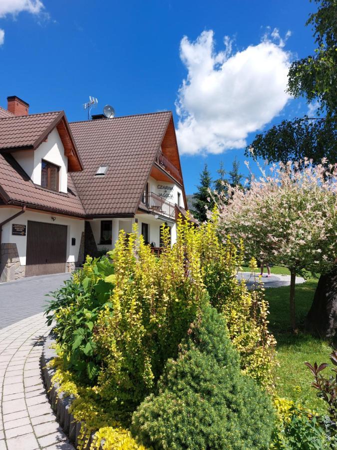 Czarna Jagoda Czarna Gora Luaran gambar