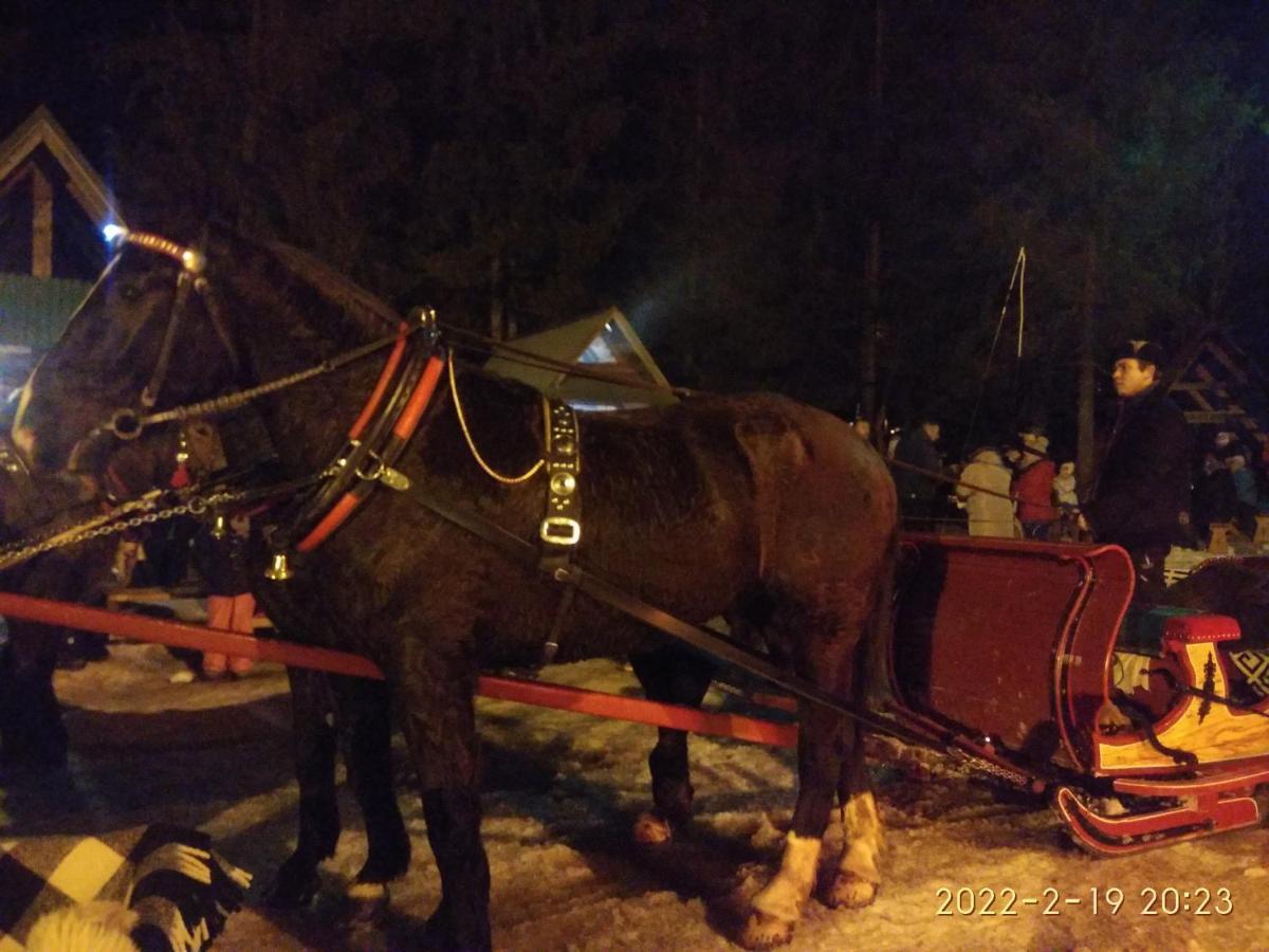 Czarna Jagoda Czarna Gora Luaran gambar