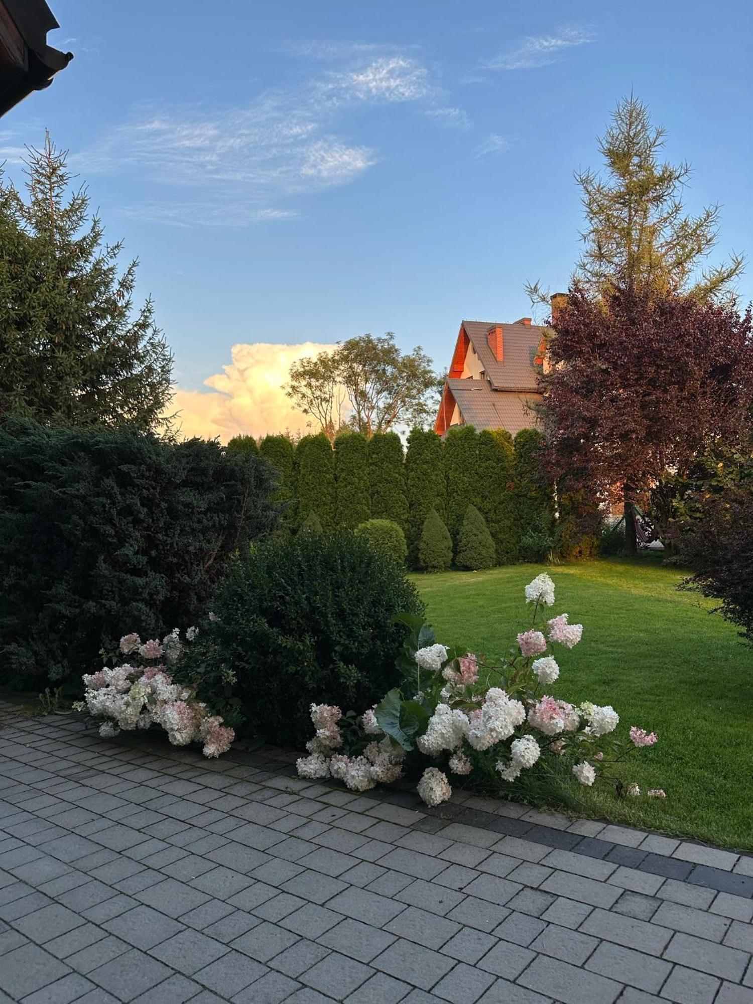 Czarna Jagoda Czarna Gora Luaran gambar