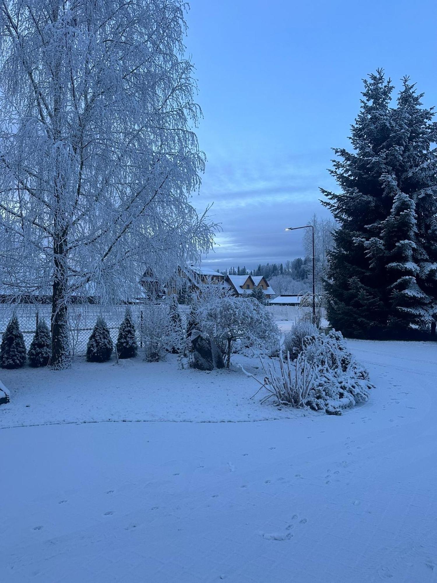 Czarna Jagoda Czarna Gora Luaran gambar