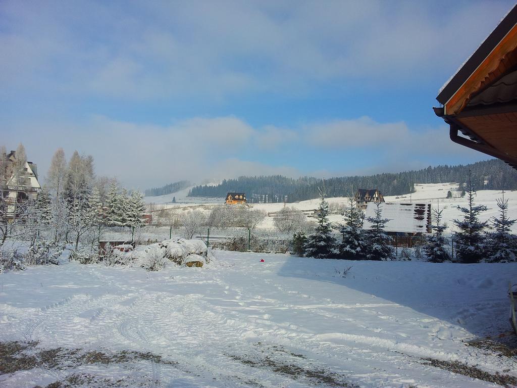 Czarna Jagoda Czarna Gora Luaran gambar