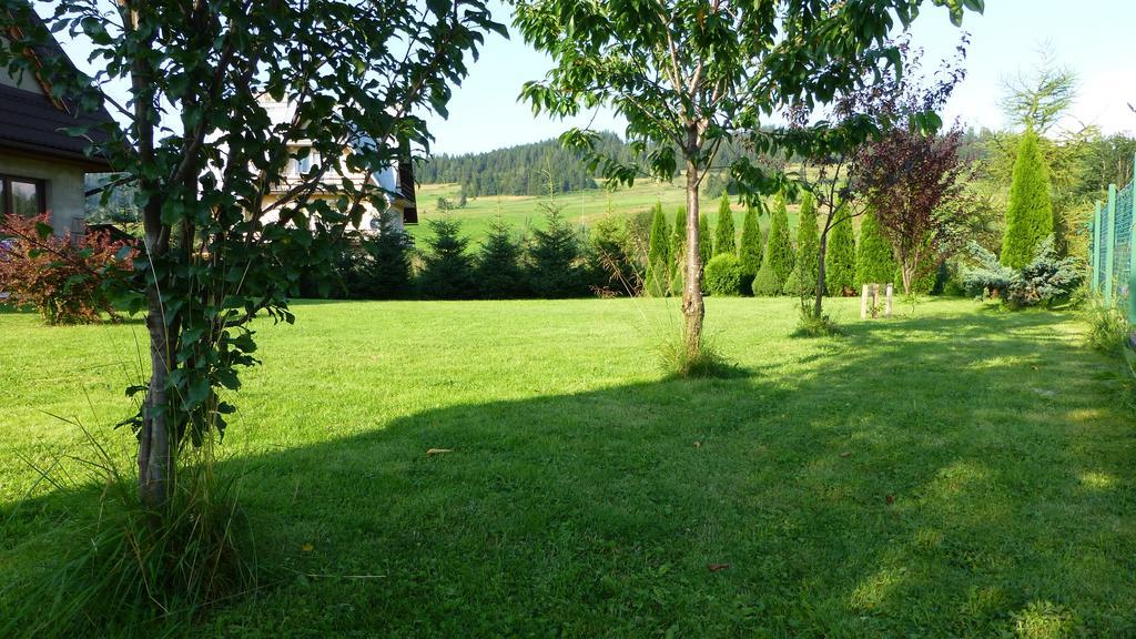 Czarna Jagoda Czarna Gora Luaran gambar