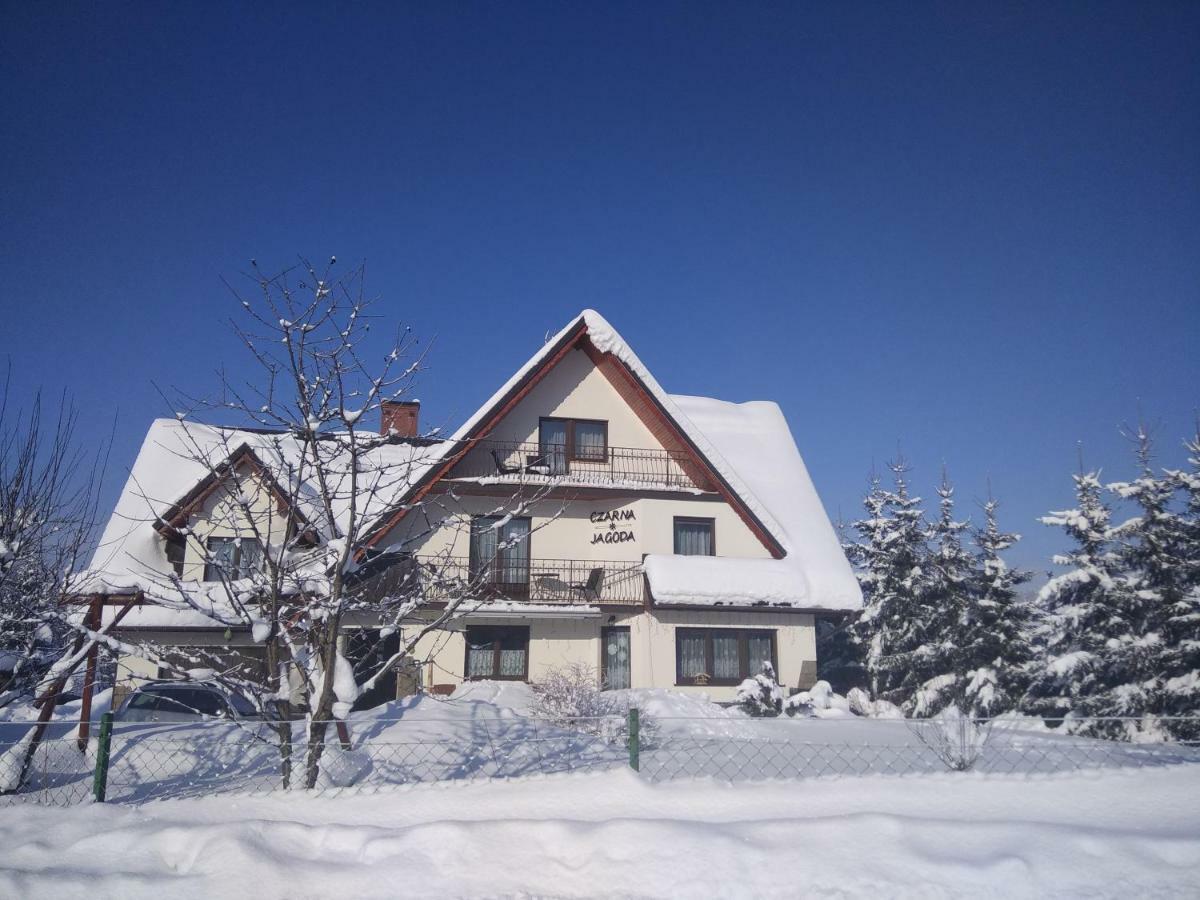 Czarna Jagoda Czarna Gora Luaran gambar